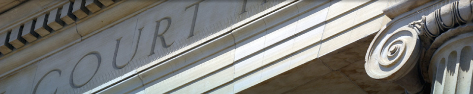 appellate-constitutional-law